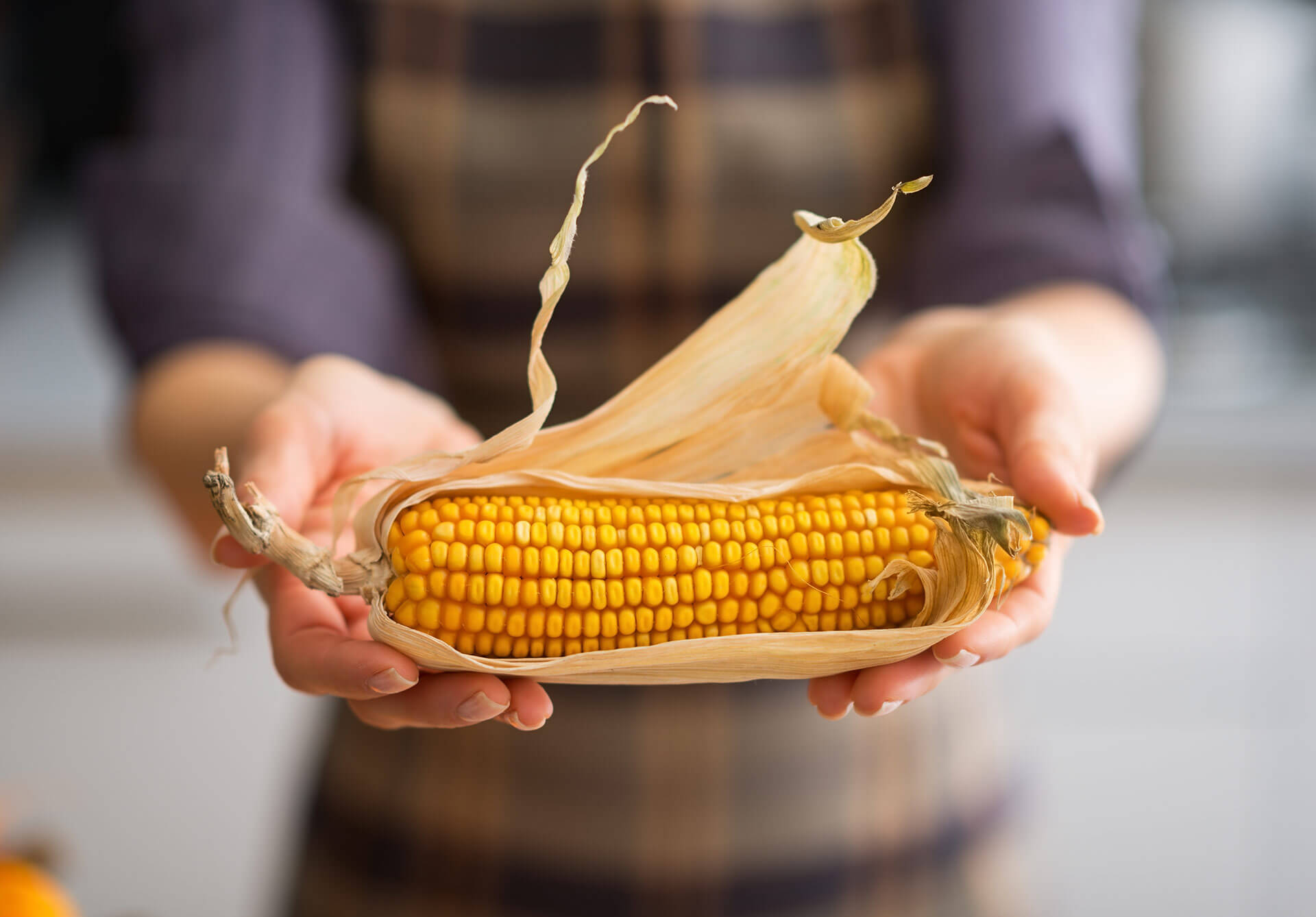 Ray-Ban Vintage Collection